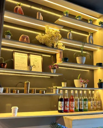 Café & Recharge Zone